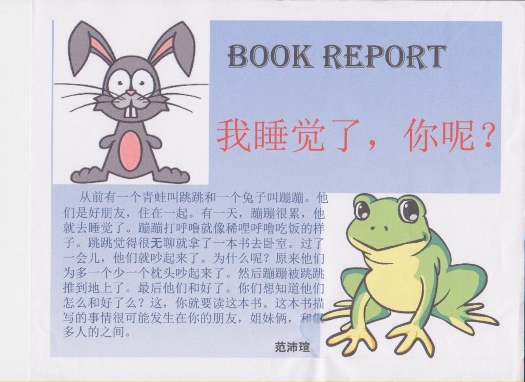 book report 004